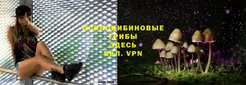 Галлюциногенные грибы Cubensis  Зерноград 